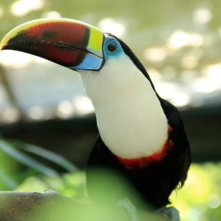 Hotel Turim Santa Maria da Feira